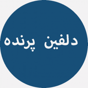 طراحی سایت